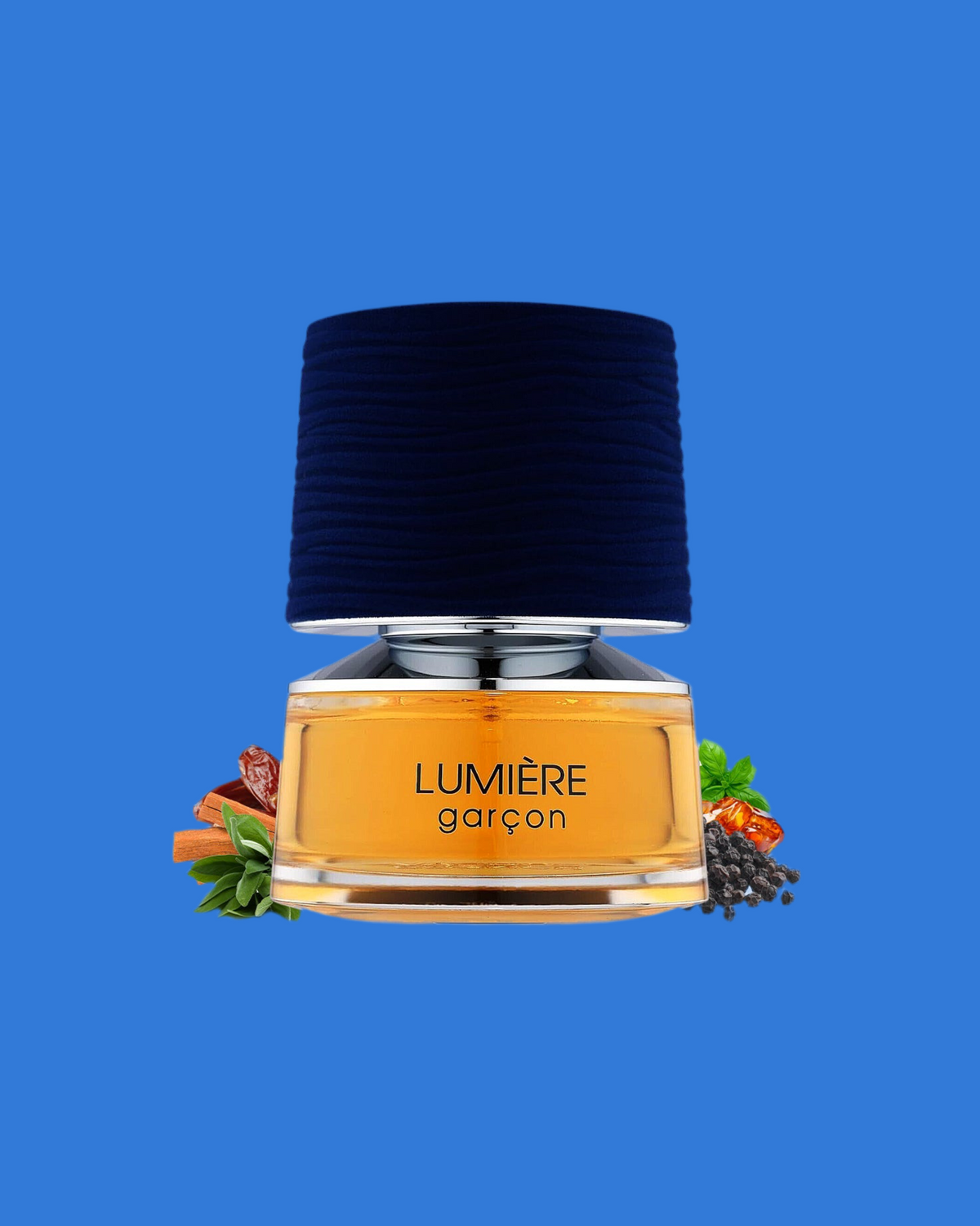 Lumiere Garcon Eau De Parfum By French Avenue Fragrance World 