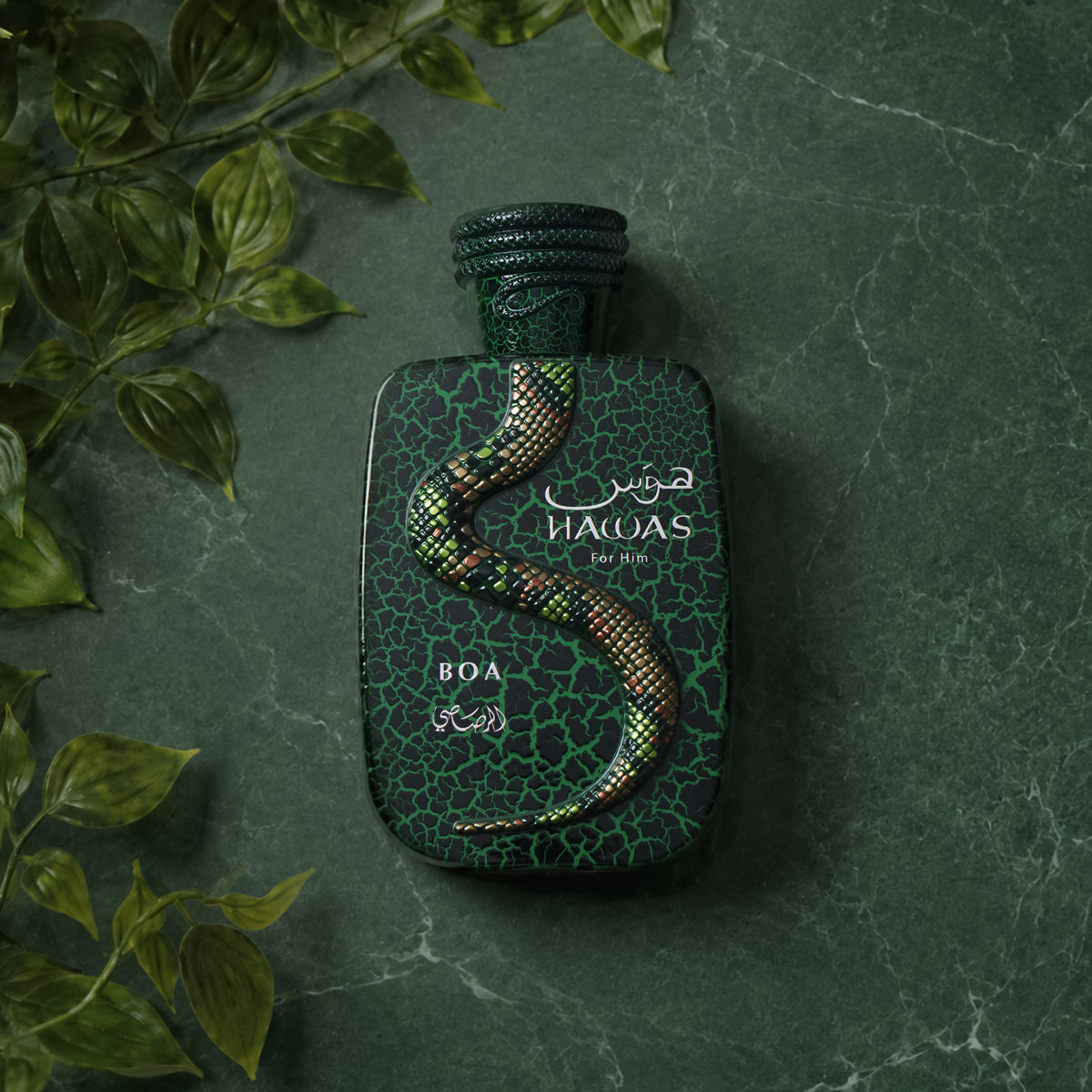 Rasasi Hawas Boa Eau de Parfum bottle displayed on a dark green marble surface with trailing green leaves