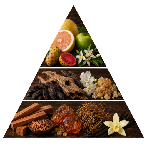 Rasasi Hawas Boa fragrance notes pyramid: citrus, green apple and prickly pear top notes, oud wood, white florals and amber resin heart notes, and sandalwood, amber, vetiver and vanilla base notes