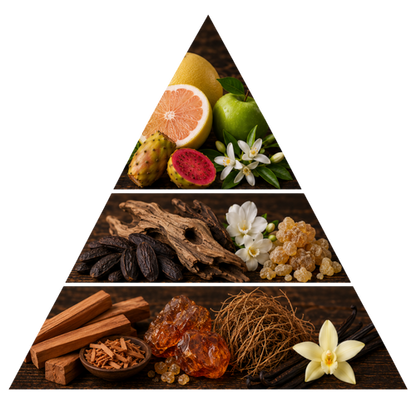 Rasasi Hawas Boa fragrance notes pyramid: citrus, green apple and prickly pear top notes, oud wood, white florals and amber resin heart notes, and sandalwood, amber, vetiver and vanilla base notes