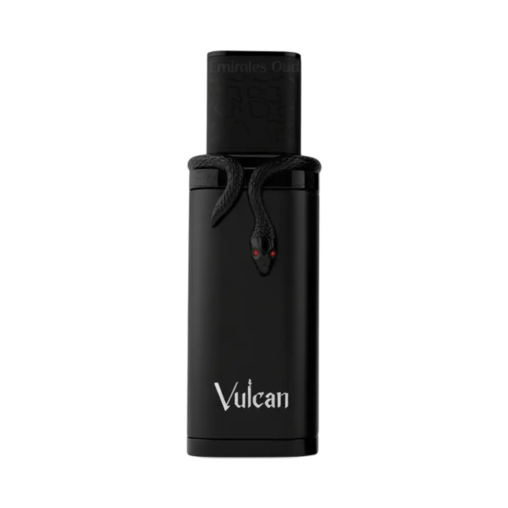 FRENCH AVENUE
Vulcan Black Friday Edition 100ml EDP French Avenue